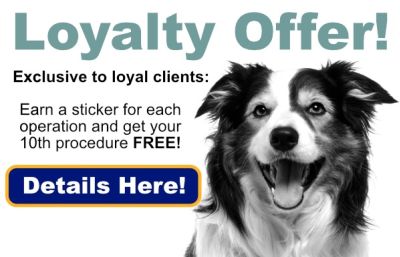 Special Offer